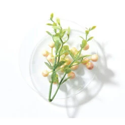 Schwarzkopf -Schwarzkopf masque leger blondme schwarzkopf 200ml 1